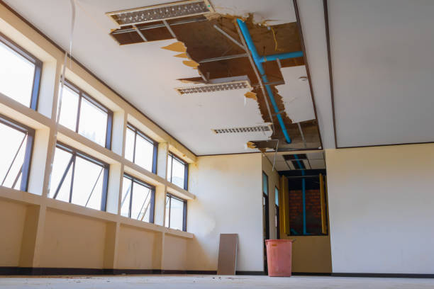Best Fire Damage Restoration  in Eagle, WI