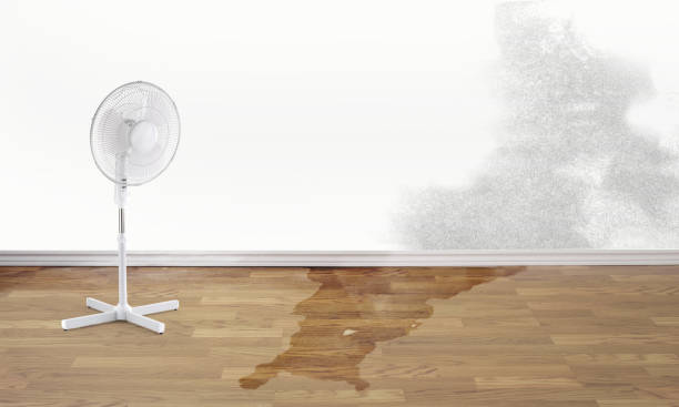 Water damage restoration experts in Eagle, WI
