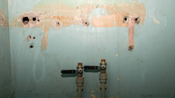  Eagle, WI Water damage restoration Pros