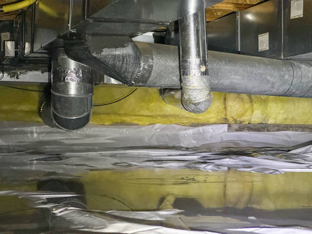 Best Basement water damage restoration  in Eagle, WI
