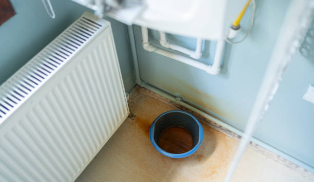 Best Local water damage restoration  in Eagle, WI
