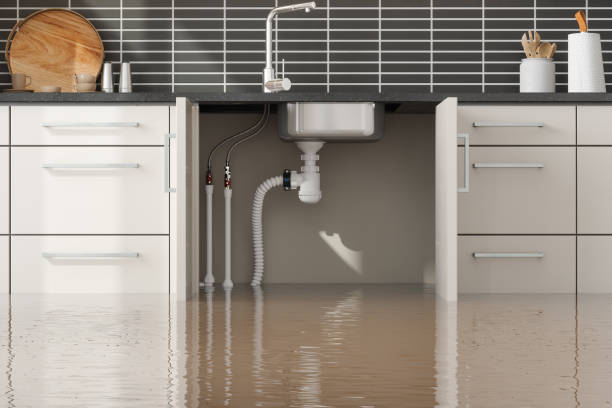 Best Water damage restoration near me  in Eagle, WI